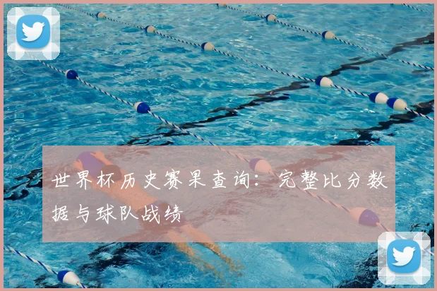 世界杯历史赛果查询：完整比分数据与球队战绩