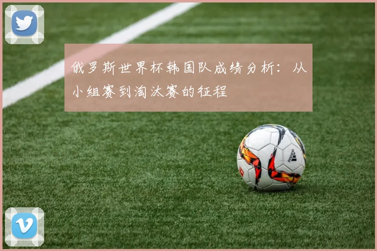 俄罗斯世界杯韩国队成绩分析：从小组赛到淘汰赛的征程